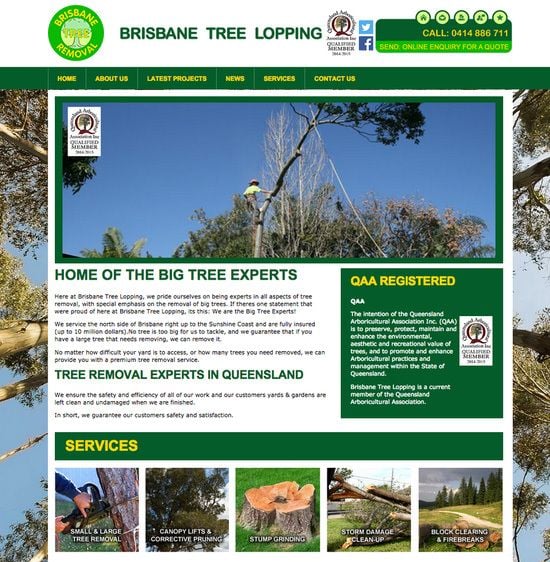 Big Tree Experts Big Tree Experts